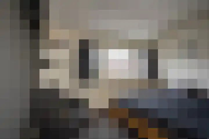 Cornelis van Ramshorstlaan 35 Nijkerk thumbnail 19