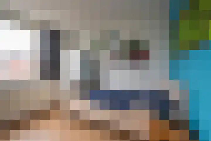 Cornelis van Ramshorstlaan 35 Nijkerk thumbnail 21