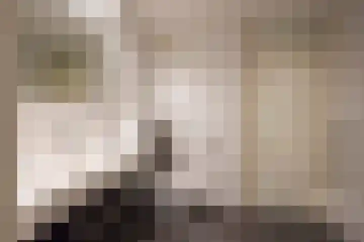 Cornelis van Ramshorstlaan 35 Nijkerk thumbnail 27