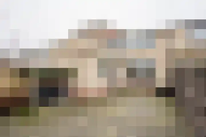 Cornelis van Ramshorstlaan 35 Nijkerk thumbnail 29