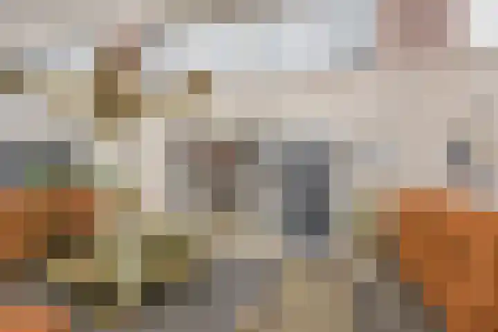 Cornelis van Ramshorstlaan 35 Nijkerk thumbnail 32