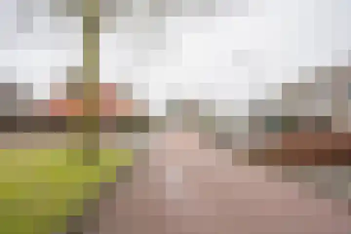Cornelis van Ramshorstlaan 35 Nijkerk thumbnail 33