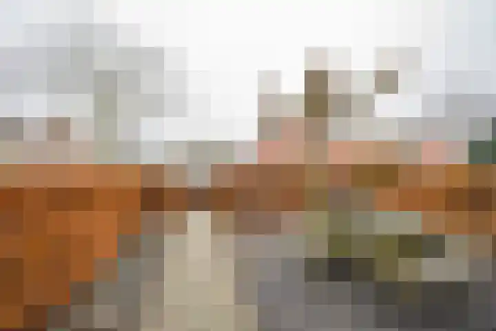 Cornelis van Ramshorstlaan 35 Nijkerk thumbnail 34