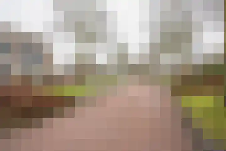 Cornelis van Ramshorstlaan 35 Nijkerk thumbnail 35
