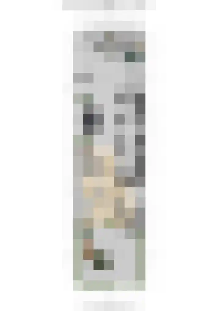 Cornelis van Ramshorstlaan 35 Nijkerk thumbnail 39