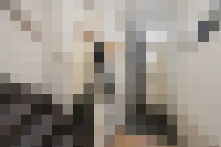Cornelis van Ramshorstlaan 35 Nijkerk thumbnail 6