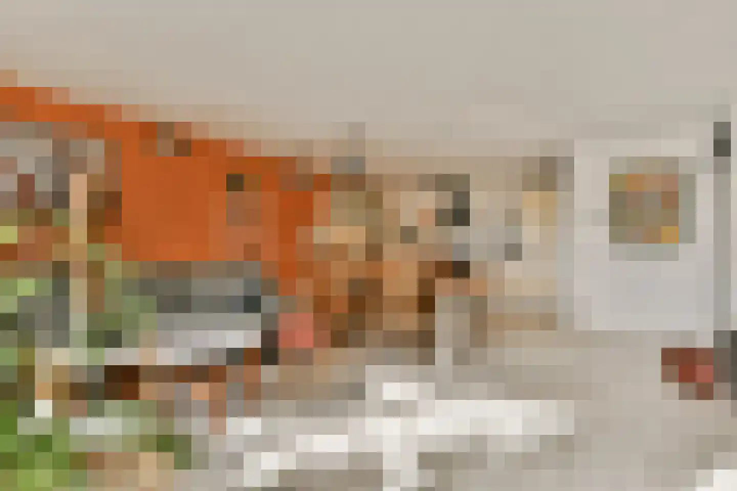 Cornelis van Rijplantsoen 1 Amsterdam thumbnail 30
