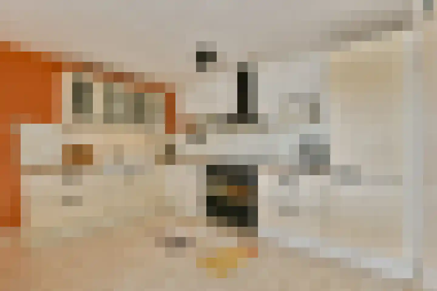 Cornelis van Rijplantsoen 1 Amsterdam thumbnail 32