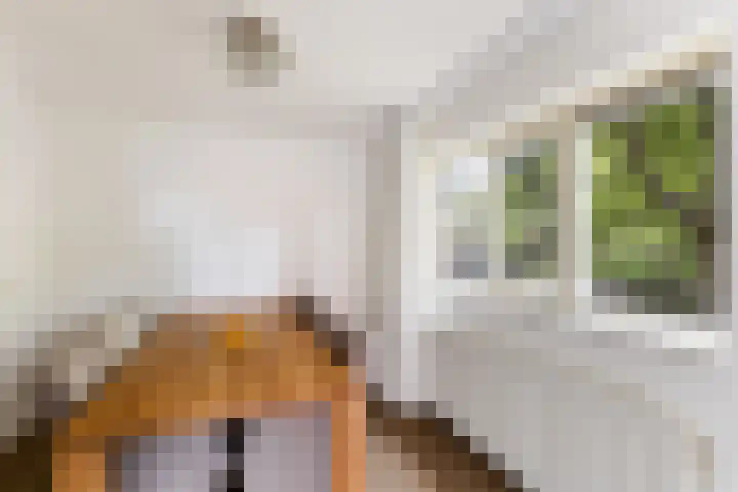 Cornelis van Rijplantsoen 5 Amsterdam thumbnail 10