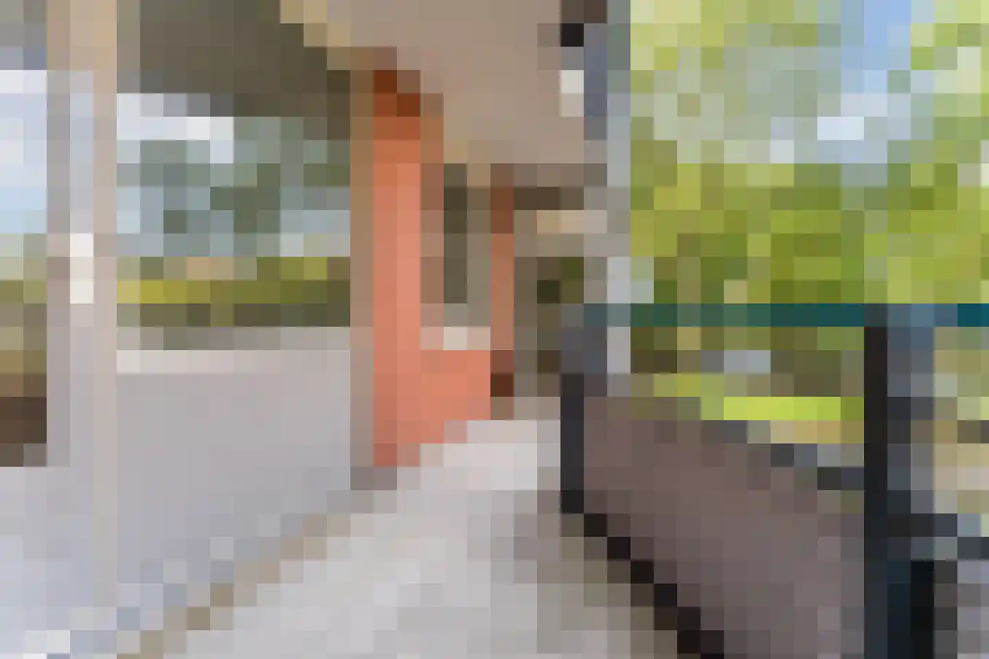 Cornelis van Rijplantsoen 5 Amsterdam thumbnail 11