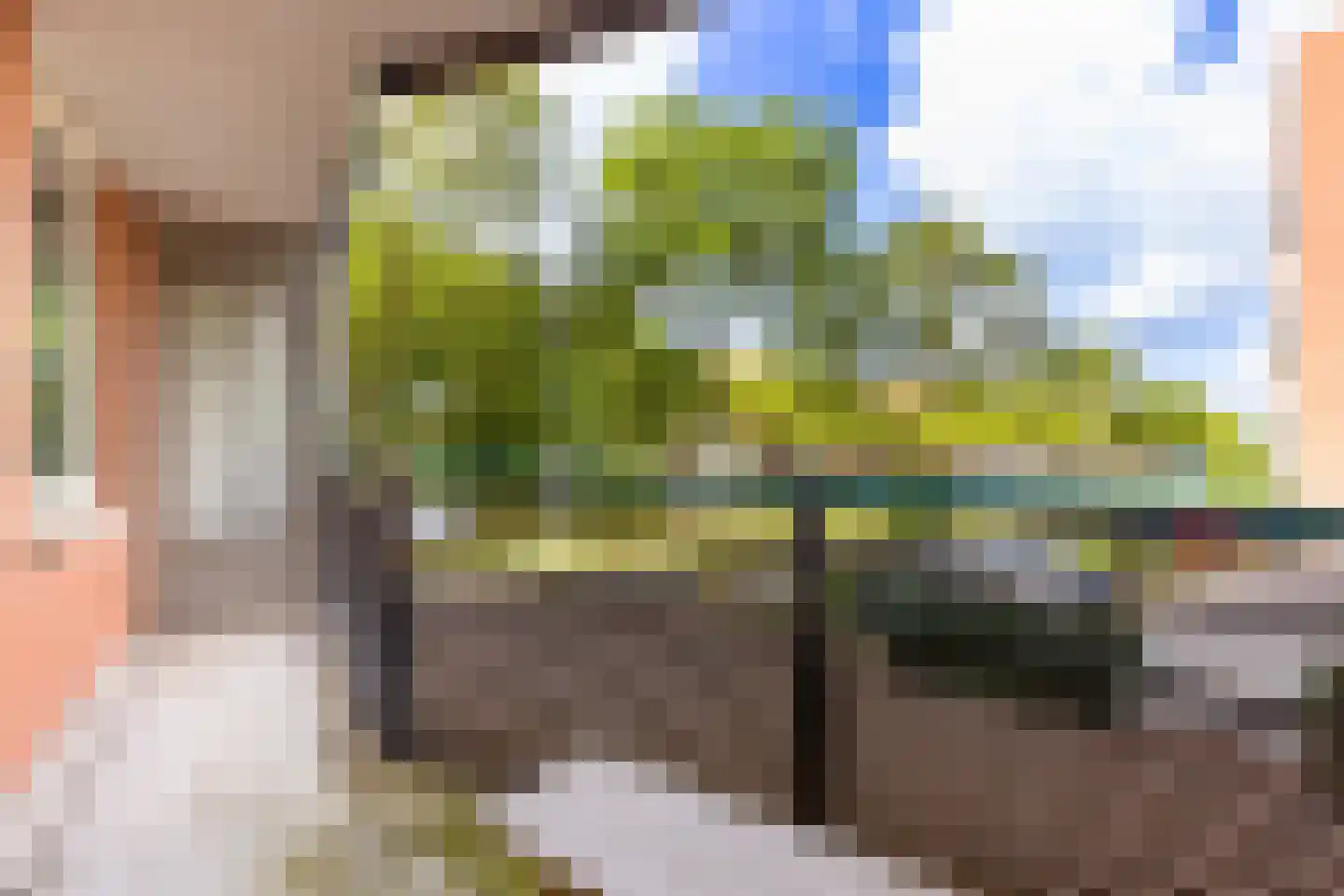 Cornelis van Rijplantsoen 5 Amsterdam thumbnail 15