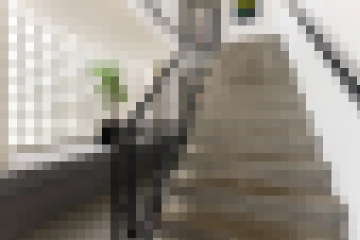 Cornelis van Rijplantsoen 5 Amsterdam thumbnail 24