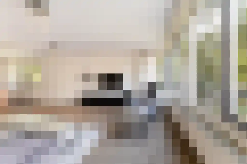 Cornelis van Rijplantsoen 5 Amsterdam thumbnail 4
