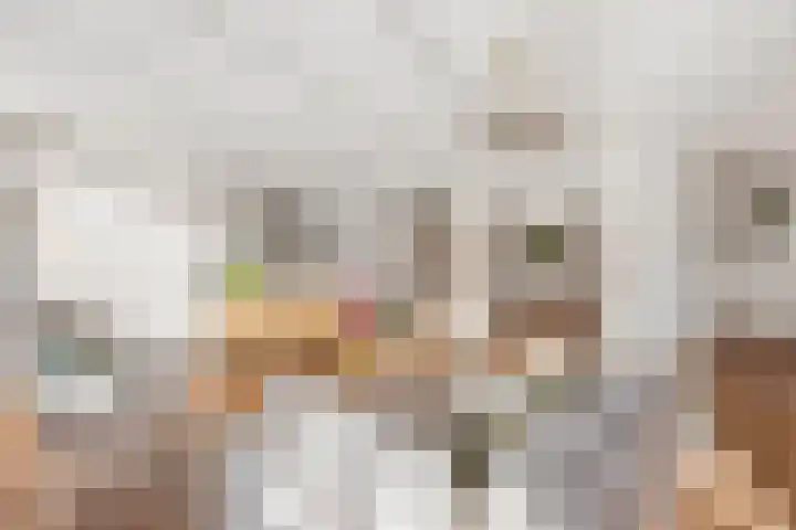 Cornelis van Rijplantsoen 57 Amsterdam thumbnail 15
