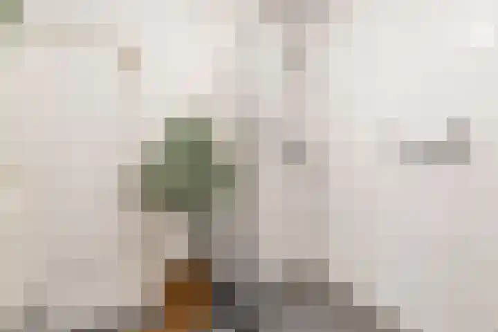 Cornelis van Rijplantsoen 57 Amsterdam thumbnail 39