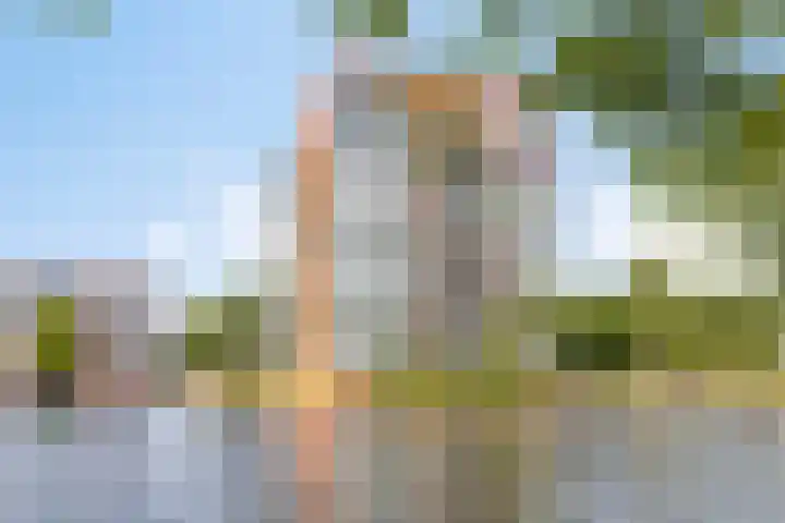 Cornelis van Rijplantsoen 59 Amsterdam