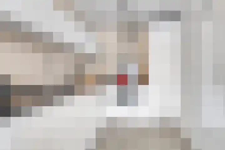 Cornelis van Rijplantsoen 59 Amsterdam thumbnail 11