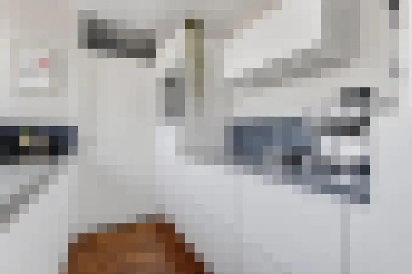 Cornelis van Rijplantsoen 6 Amsterdam thumbnail 14