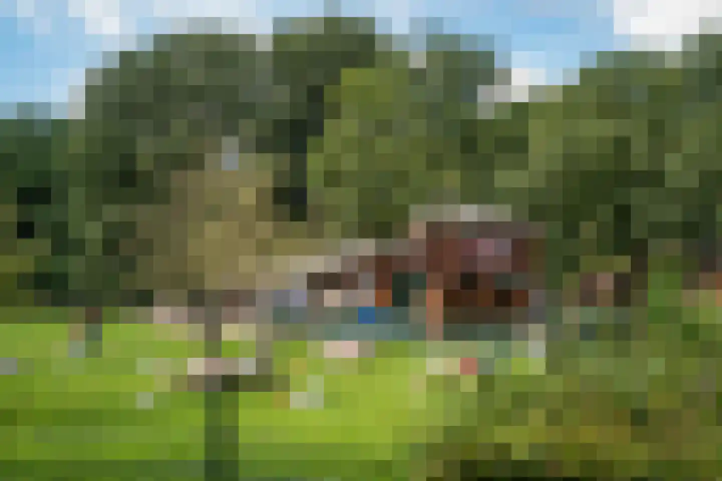 Cornelis van Rijplantsoen 6 Amsterdam thumbnail 26