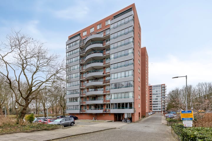 Cornelis van Rijplantsoen 8 in Amsterdam