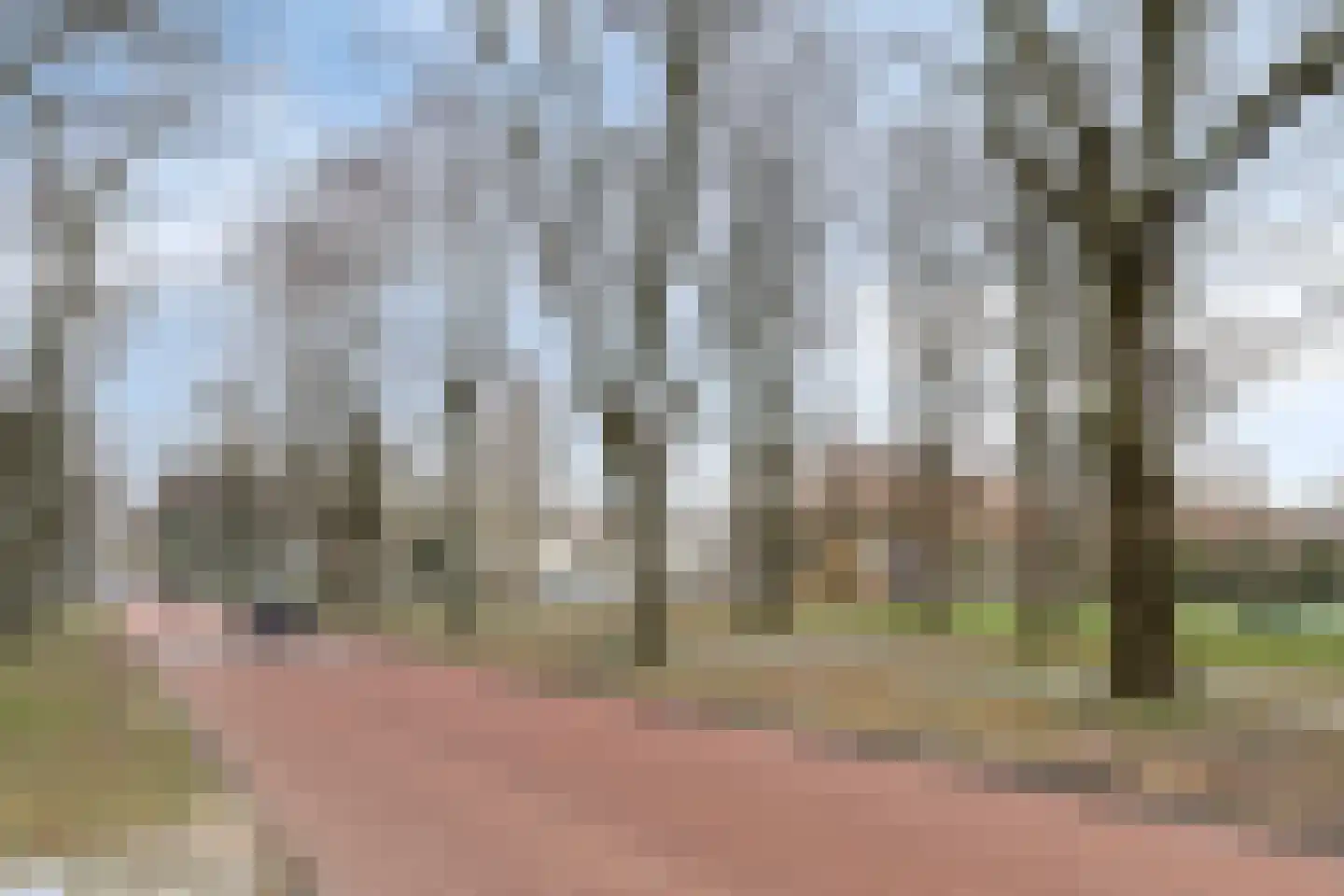 Cornelis van Rijplantsoen 8 Amsterdam thumbnail 42