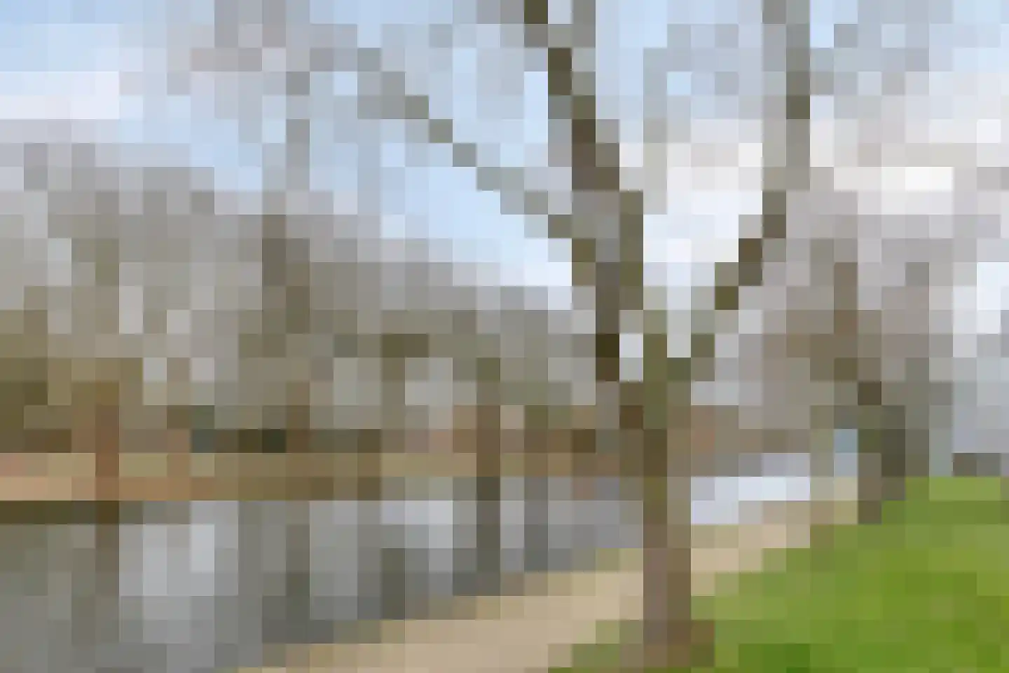 Cornelis van Rijplantsoen 8 Amsterdam thumbnail 44