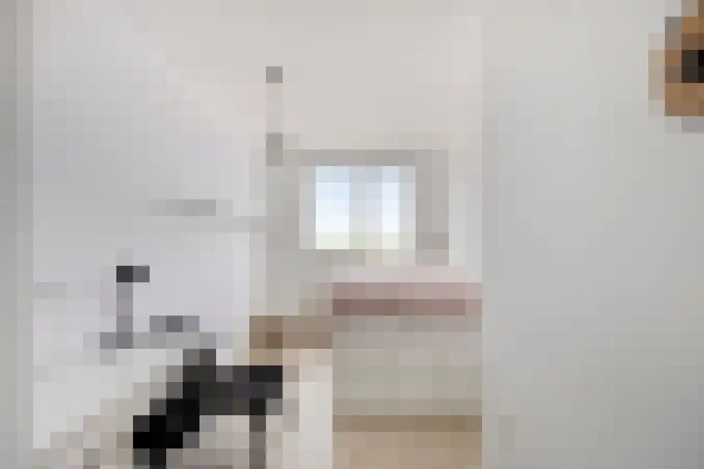 Cornelis van Rijplantsoen 85 Amsterdam thumbnail 12