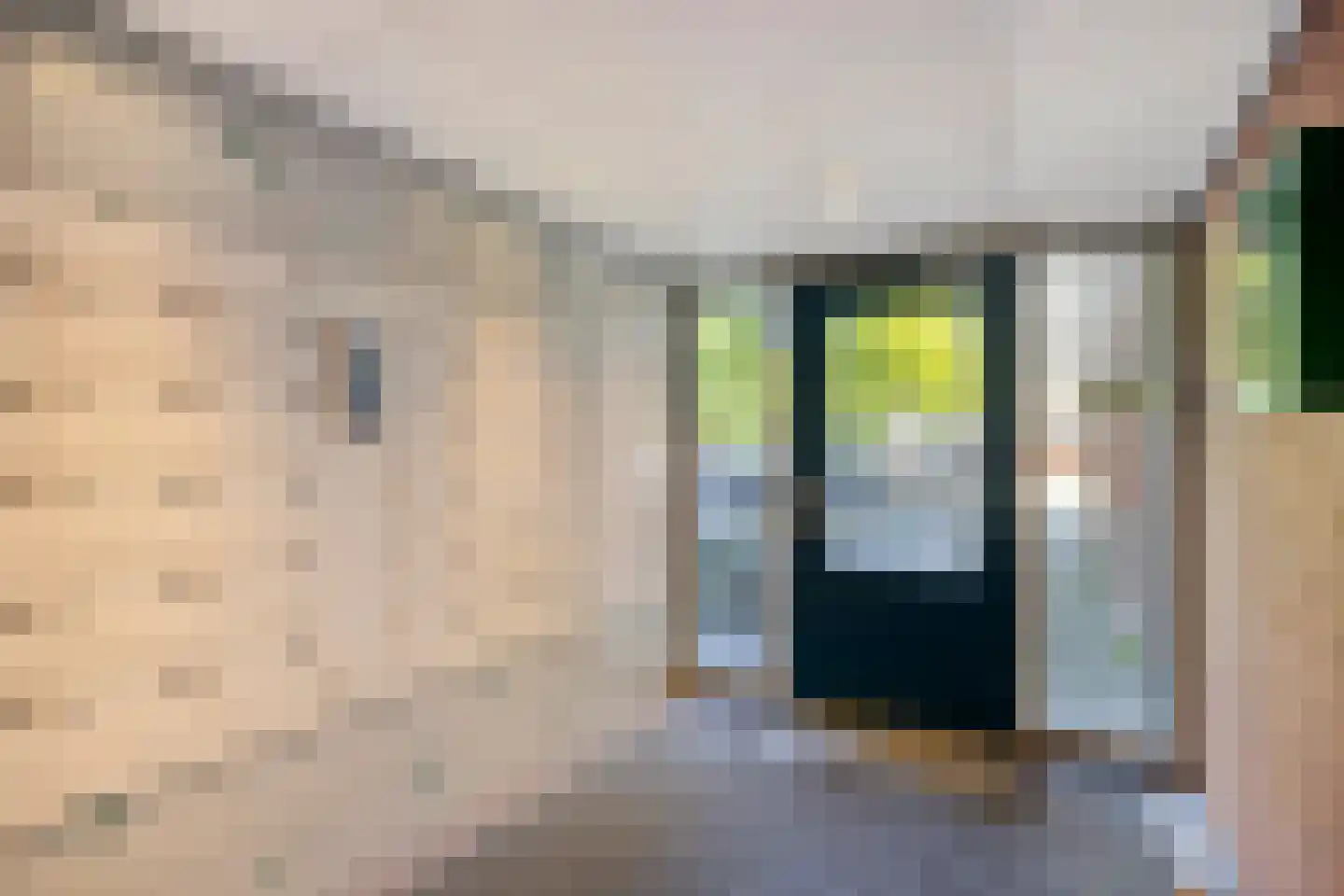 Cornelis van Rijplantsoen 85 Amsterdam thumbnail 21