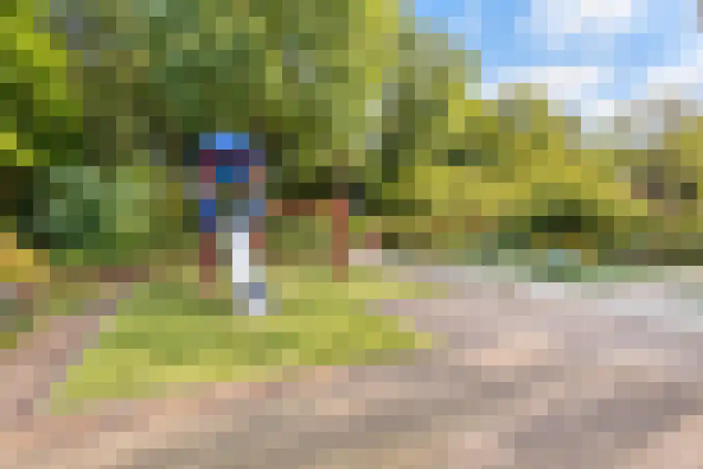Cornelis van Rijplantsoen 91 Amsterdam thumbnail 35