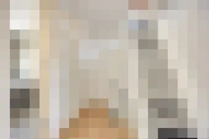 Cornelis van Rijstraat 1 Rotterdam thumbnail 12