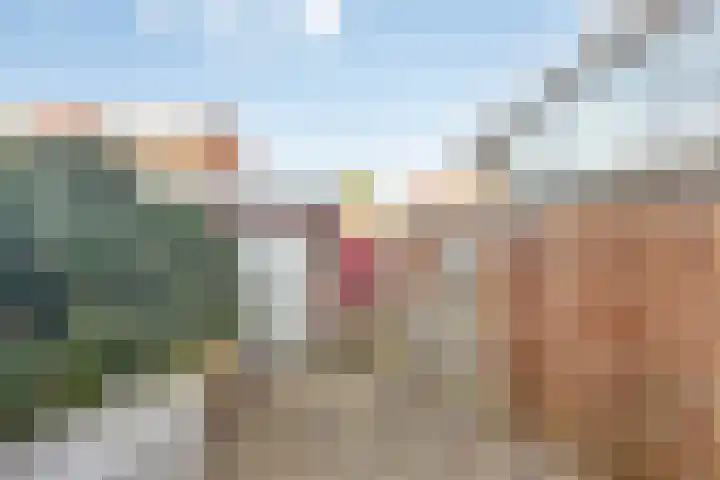 Cornelis van Rijstraat 1 Rotterdam thumbnail 25