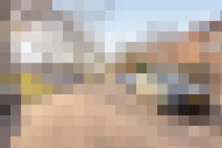Cornelis van Rijstraat 1 Rotterdam thumbnail 26