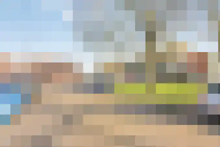 Cornelis van Rijstraat 1 Rotterdam thumbnail 27
