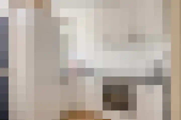 Cornelis van Rijstraat 1 Rotterdam thumbnail 5