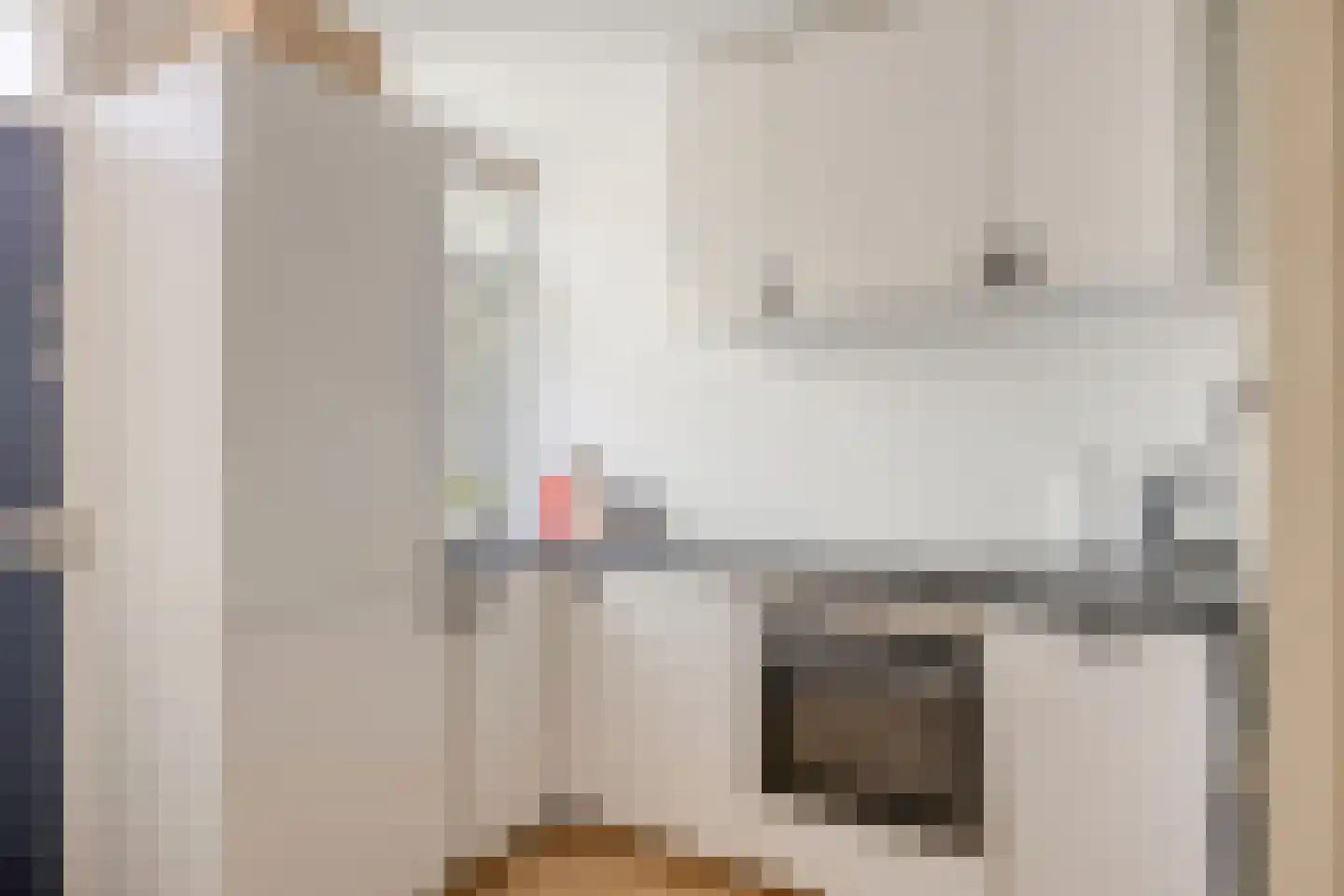 Cornelis van Rijstraat 1 Rotterdam thumbnail 5