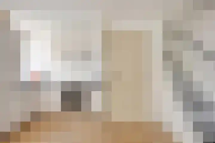 Cornelis van Rijstraat 1 Rotterdam thumbnail 6
