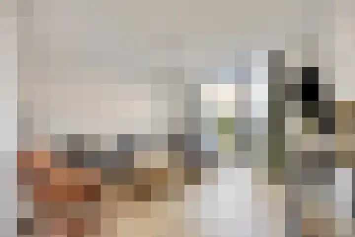 Cornelis van Rijstraat 1 Rotterdam thumbnail 9