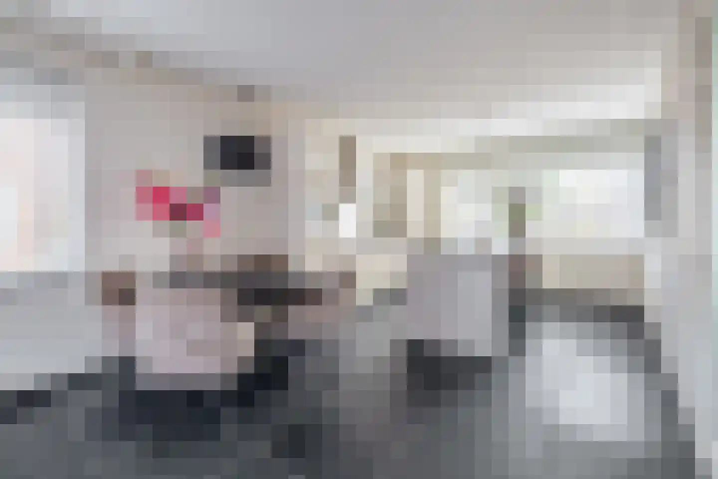 Cornelis van Uitgeeststraat 15 Tilburg thumbnail 10