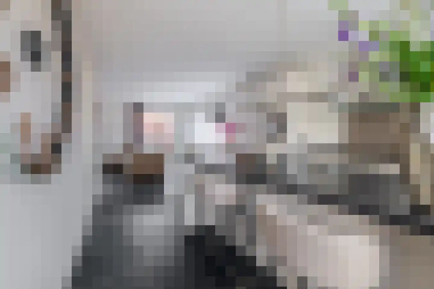 Cornelis van Uitgeeststraat 15 Tilburg thumbnail 11