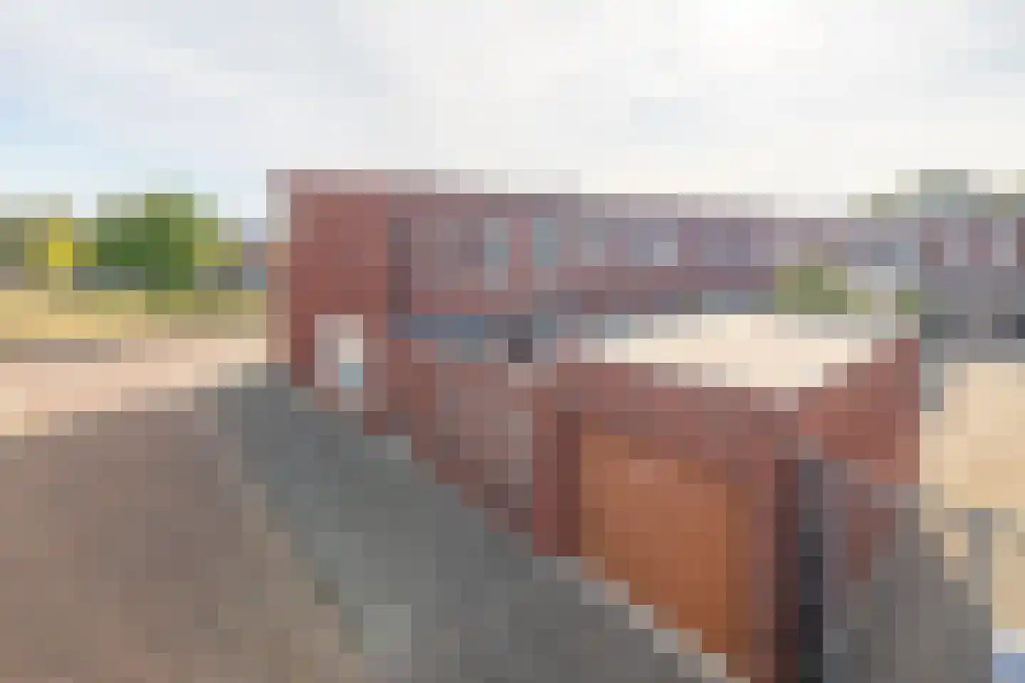 Cornelis van Uitgeeststraat 15 Tilburg thumbnail 26