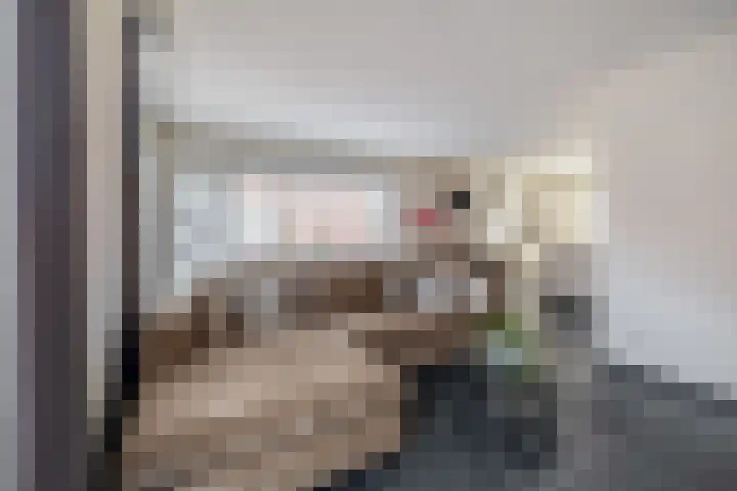 Cornelis van Uitgeeststraat 15 Tilburg thumbnail 6