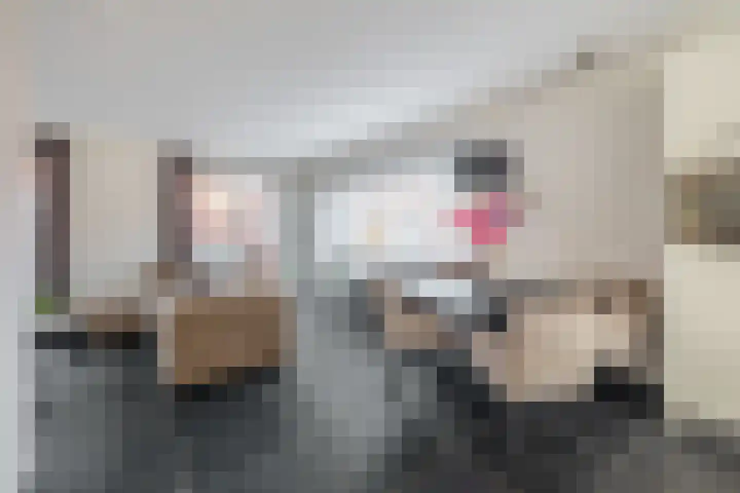 Cornelis van Uitgeeststraat 15 Tilburg thumbnail 8