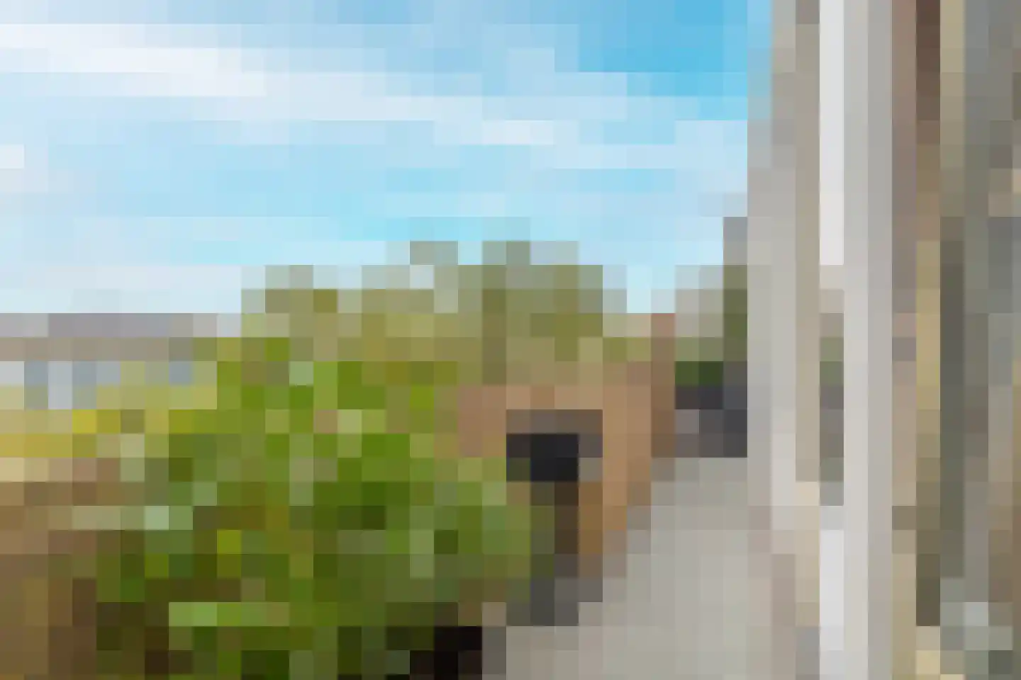 Cornelis van Vollenhovenstraat 206 Amsterdam thumbnail 12