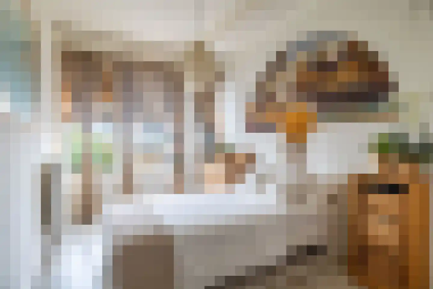 Cornelis van Vollenhovenstraat 206 Amsterdam thumbnail 24