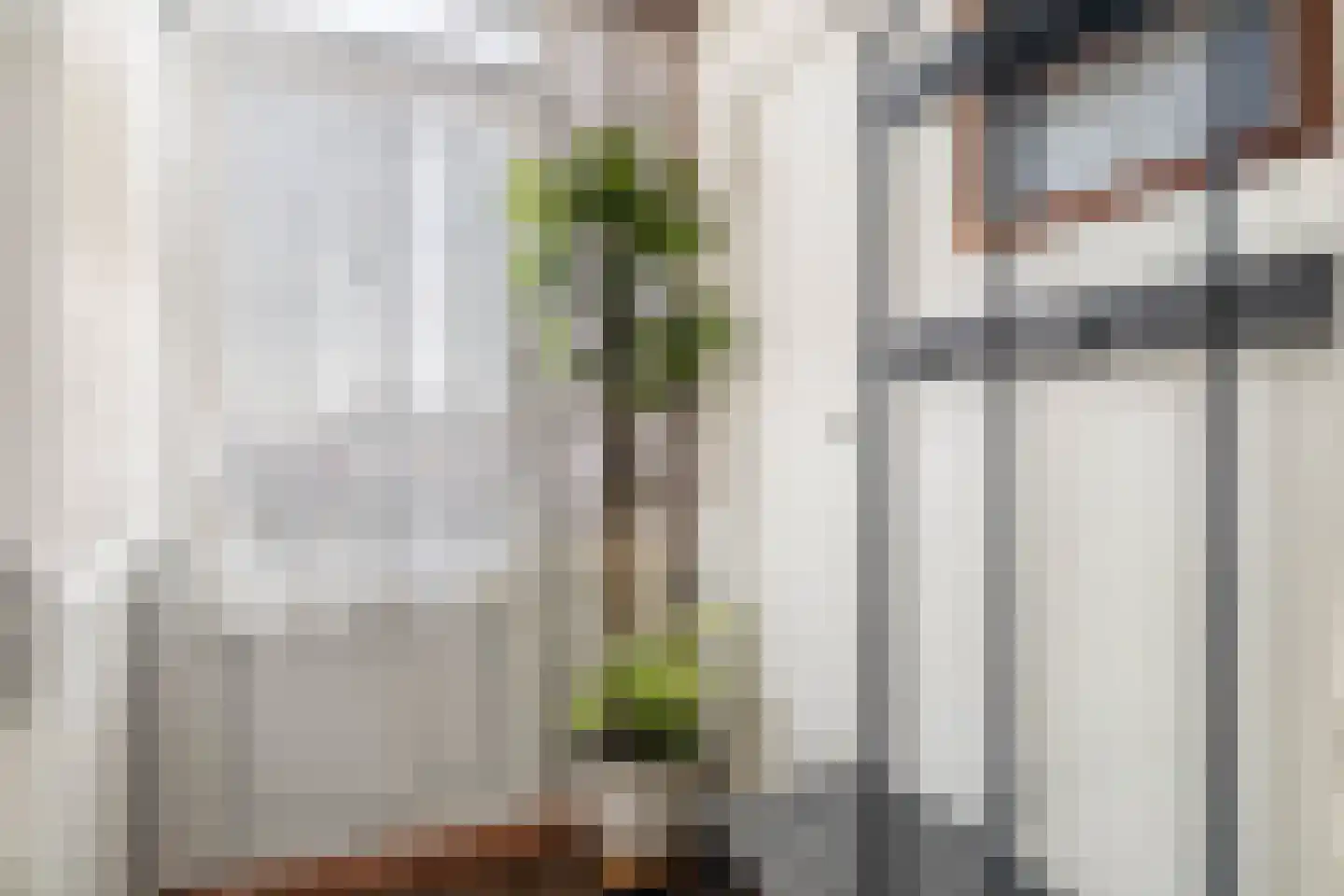 Cornelis van Vollenhovenstraat 206 Amsterdam thumbnail 6