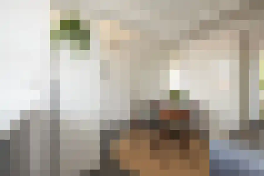 Cornelis van Vollenhovenstraat 44 Amsterdam thumbnail 15