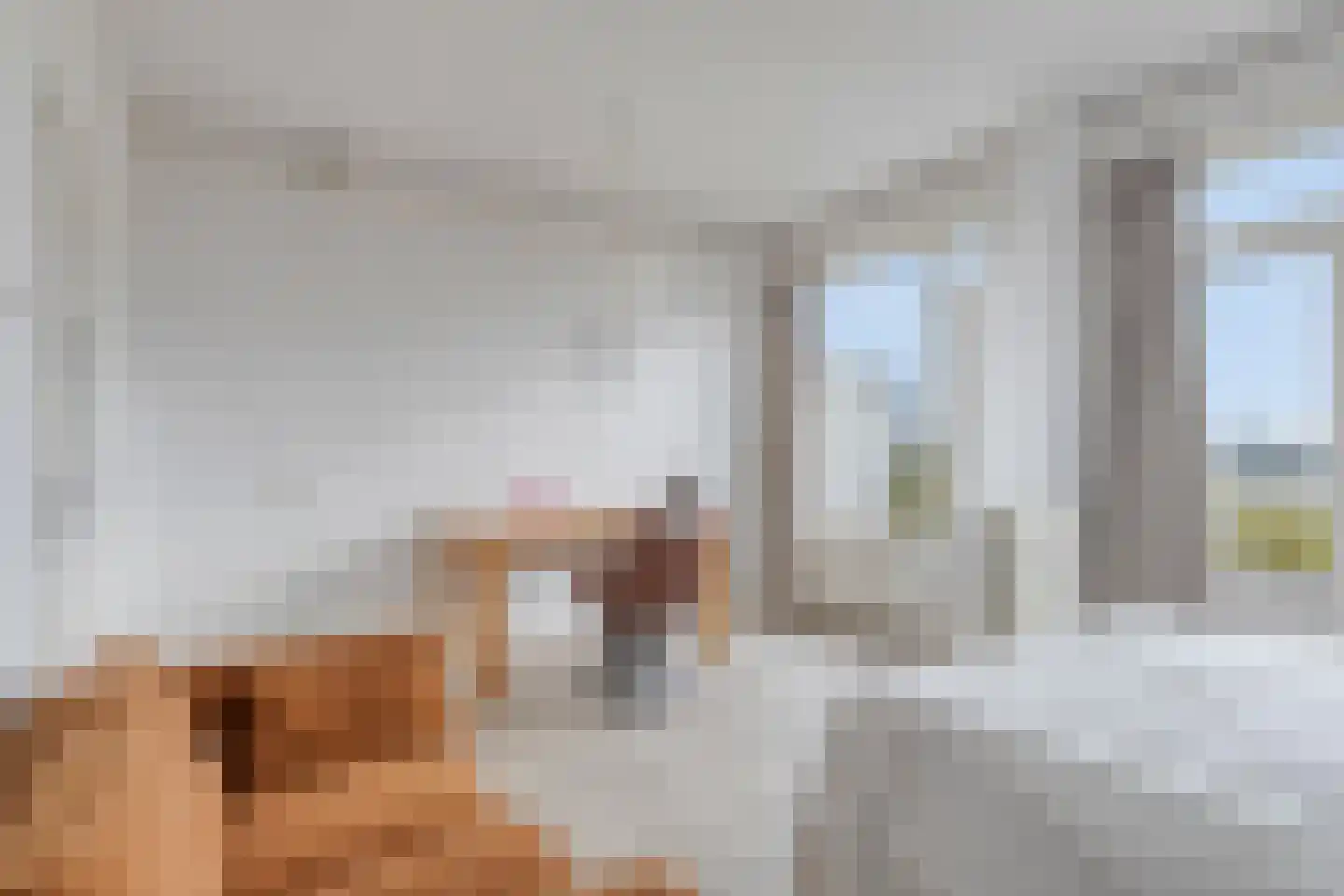 Cornelis van Vollenhovenstraat 52 Amsterdam thumbnail 20