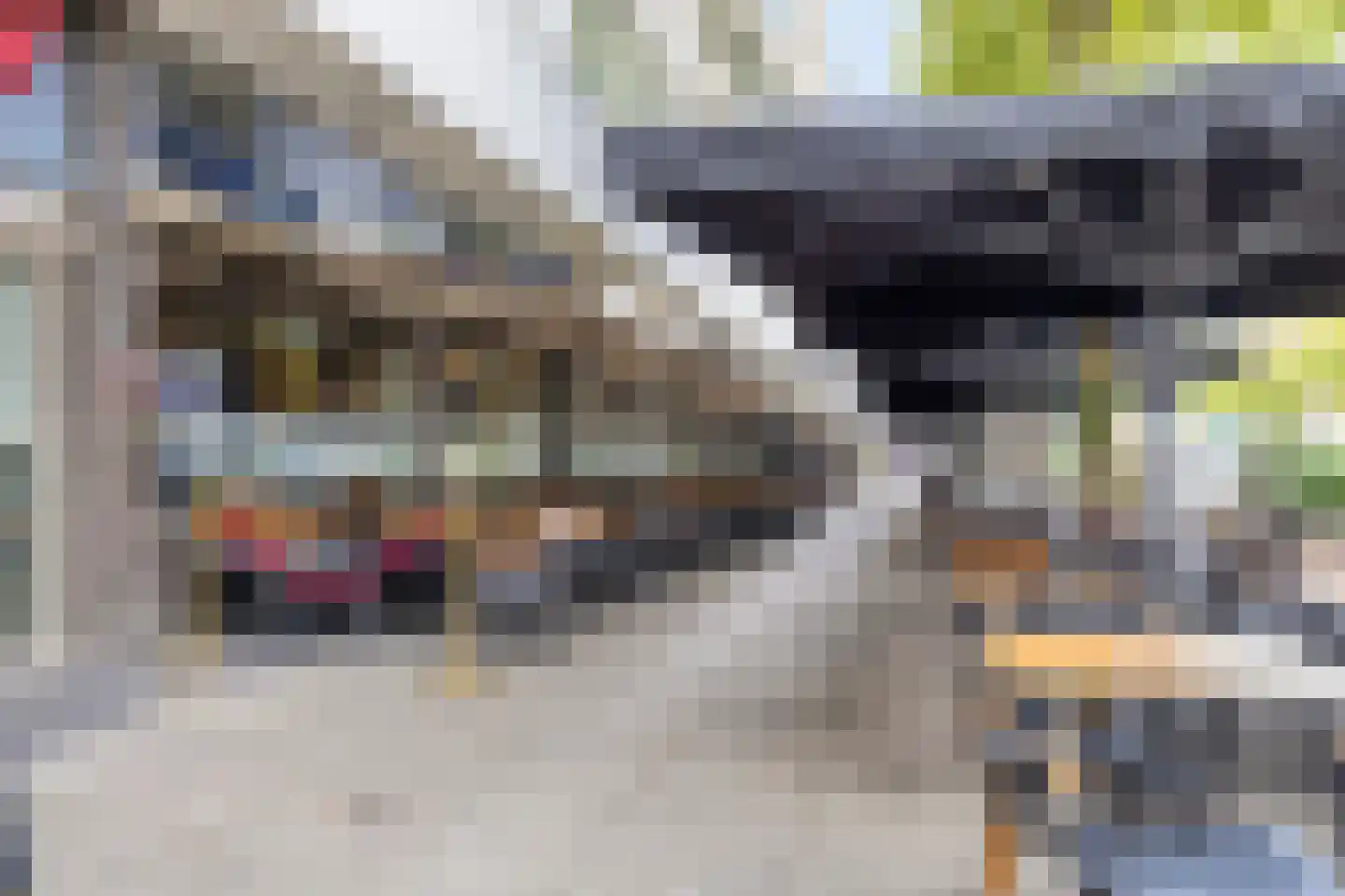 Cornelis van Vollenhovenstraat 52 Amsterdam thumbnail 29