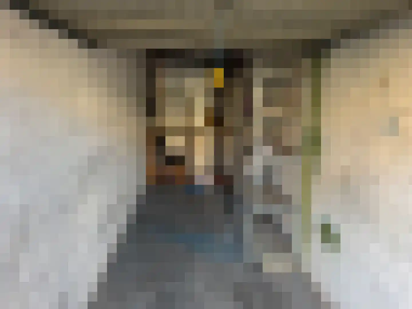 Cornelis van Vollenhovenstraat 66 Amsterdam thumbnail 4