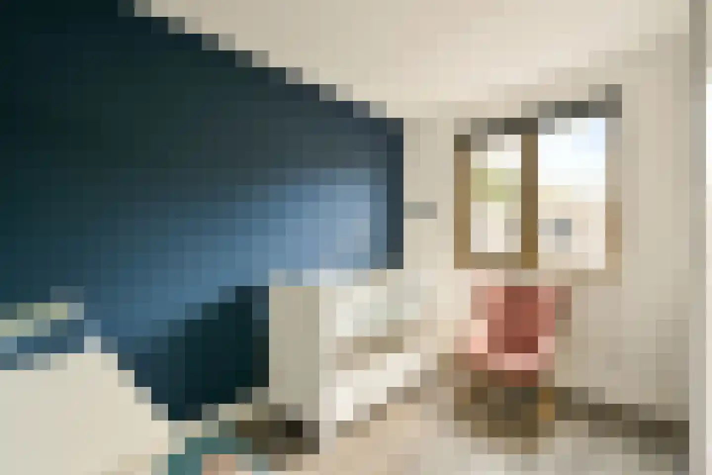 Cornelis van Vugtstraat 4 Zaandam thumbnail 20